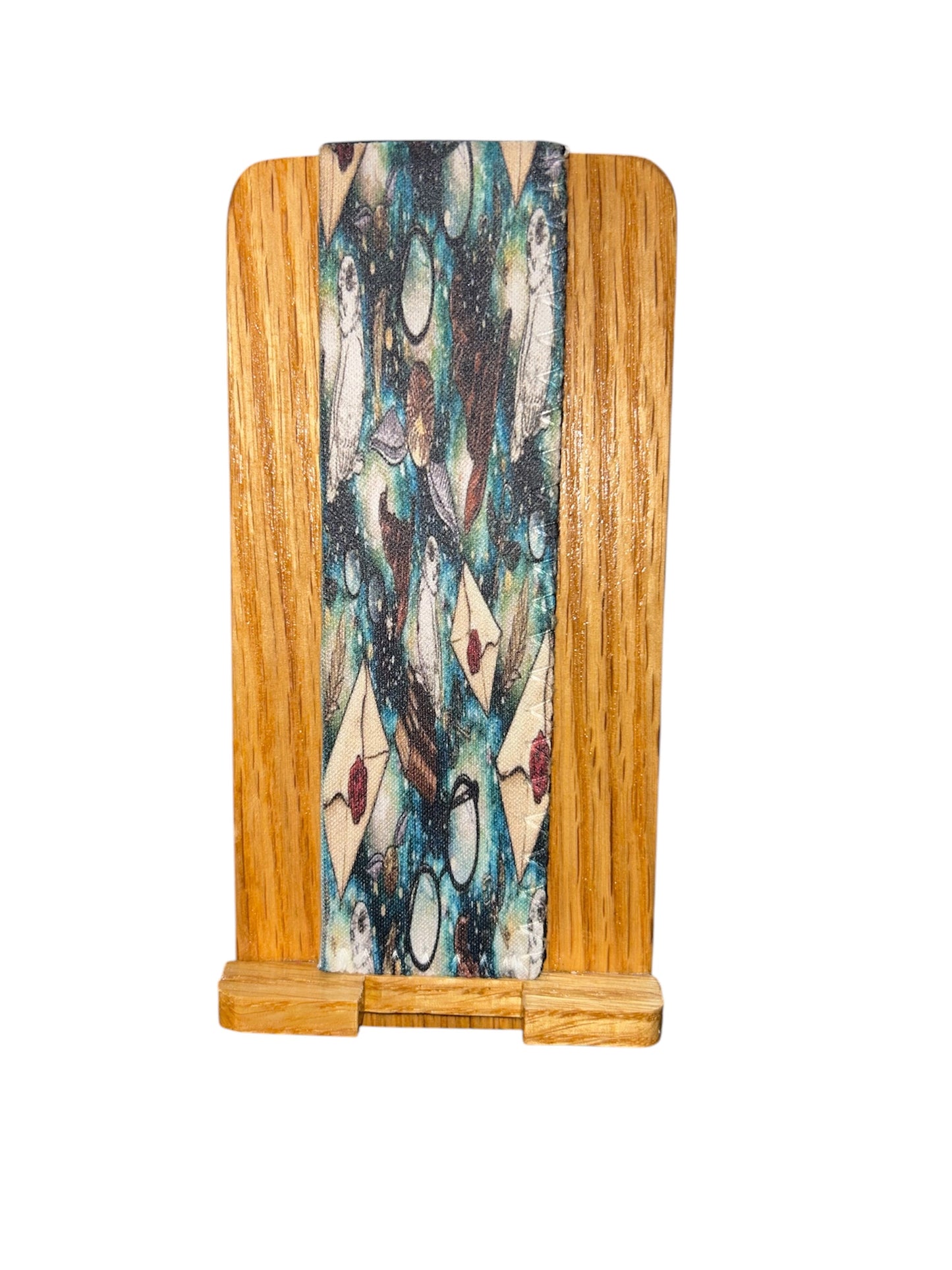 Harry Potter popsicle holder